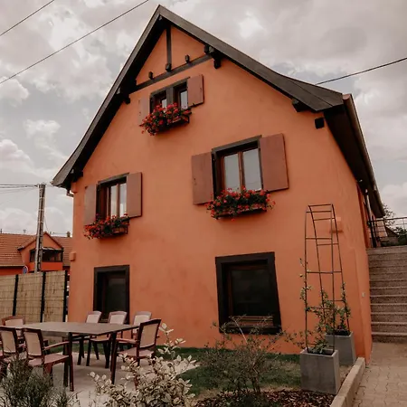 Du Fronholz - Maison Alsacienne Avec Jardin Et Service Traiteur Holiday home Epfig