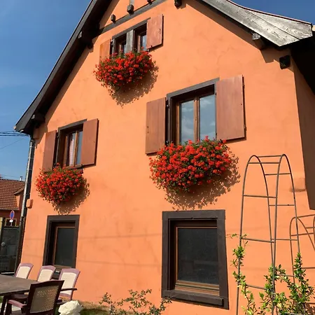 Du Fronholz - Maison Alsacienne Avec Jardin Et Service Traiteur Holiday home